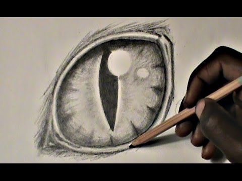 480x360 Step By Step Drawing A Cat Eye - Animal Eye Sketch
