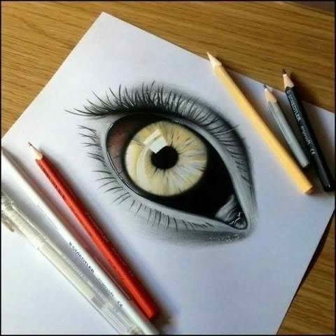 480x480 Animal Eye Drawing Artsy Fartsy Drawings, Pencil - Animal Eye Sketch
