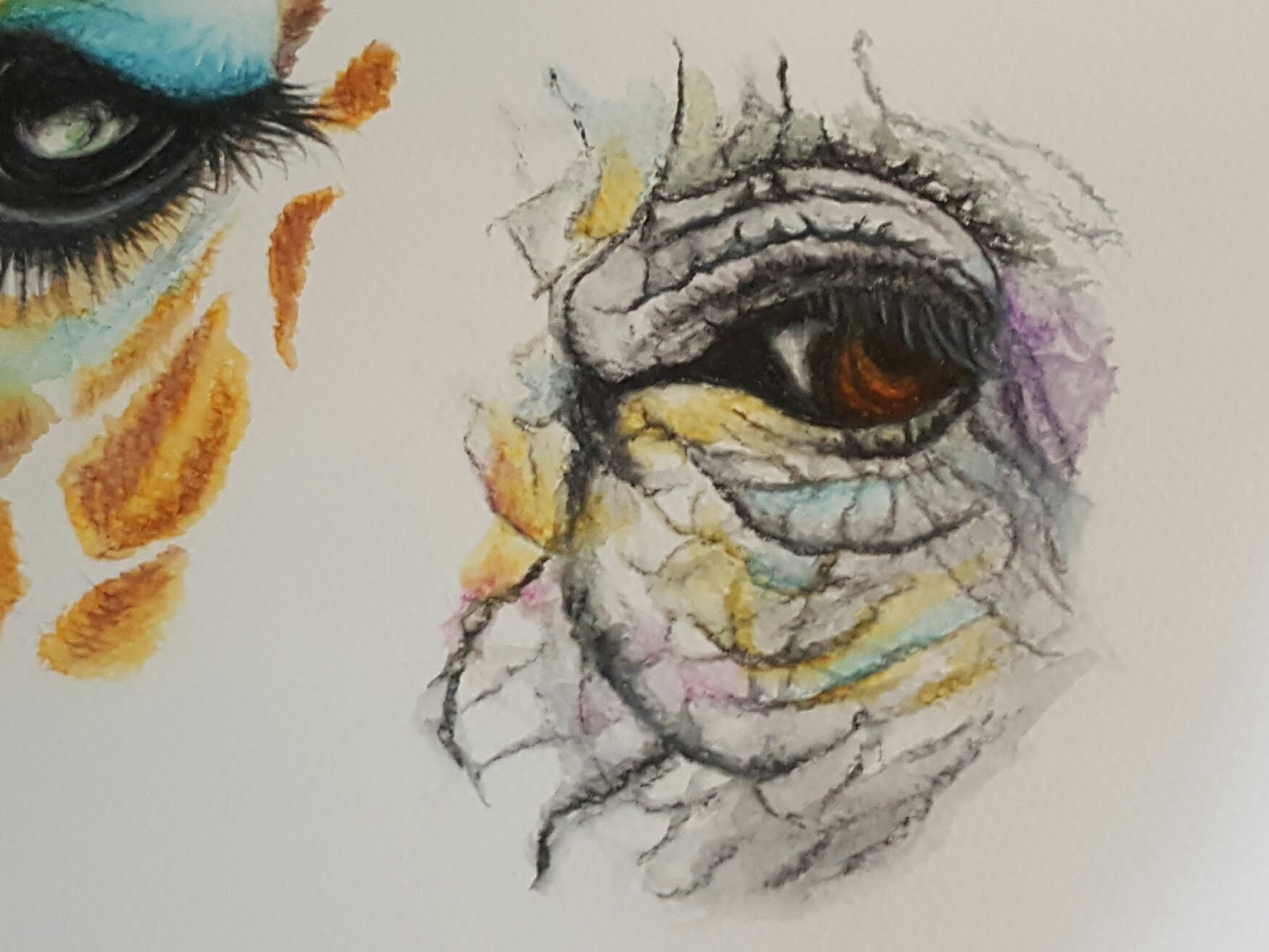 1749x1312 Drawing An Elephant Eye With Watercolor Pencils How To Draw - Animal Eye Sketch