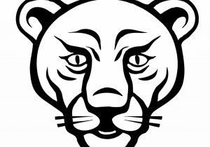 300x210 Animal Face Drawings How To Draw Cartoon Animal Faces - Animal Face Sketch