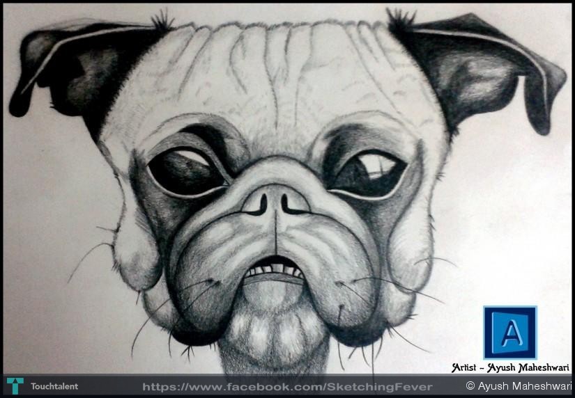 825x572 Ayush Maheshwari Artwork , Animal Face Drawing,dog Touchtalent - Animal Face Sketch