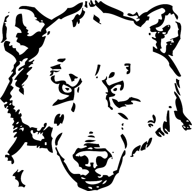 640x638 Head, Eyes, Face, Bear, Animal, Fur, Sketch, Silhouette - Animal Face Sketch