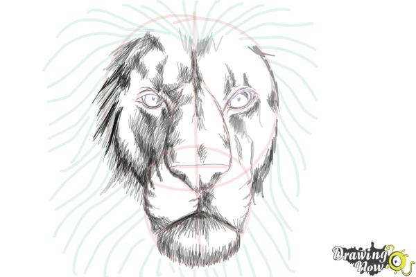 600x400 How To Draw A Lion Face - Animal Face Sketch