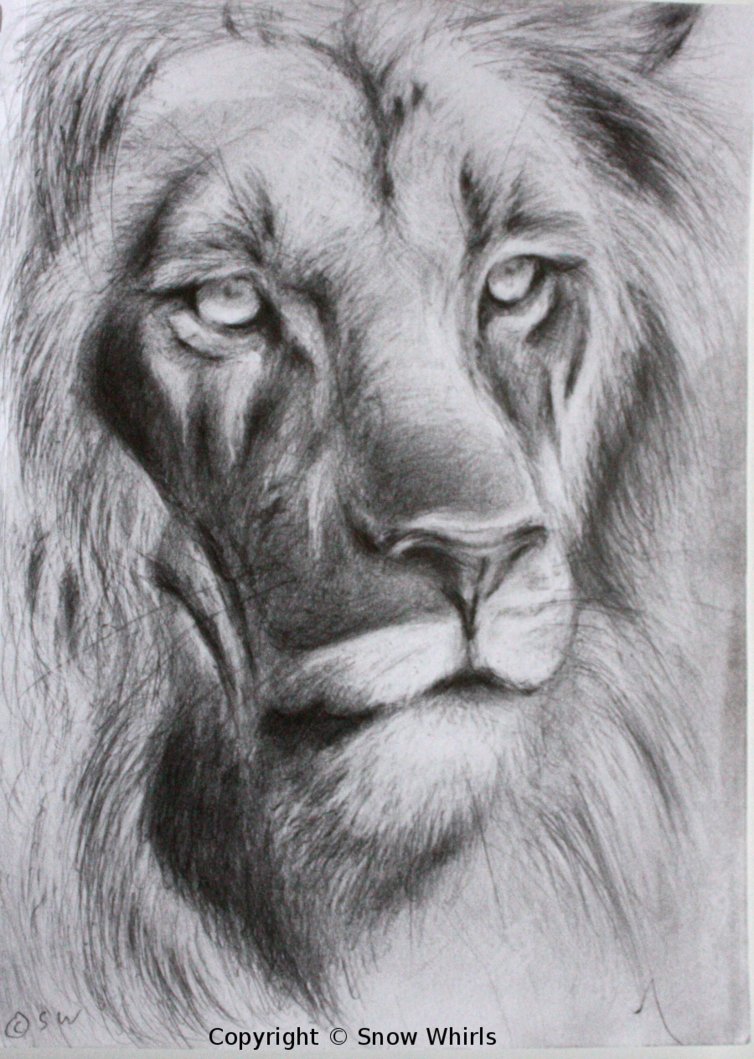 754x1059 Lion Face Sketch By Snowwhirls - Animal Face Sketch
