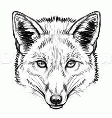 219x231 Fox Face Drawing Line - Animal Face Sketch