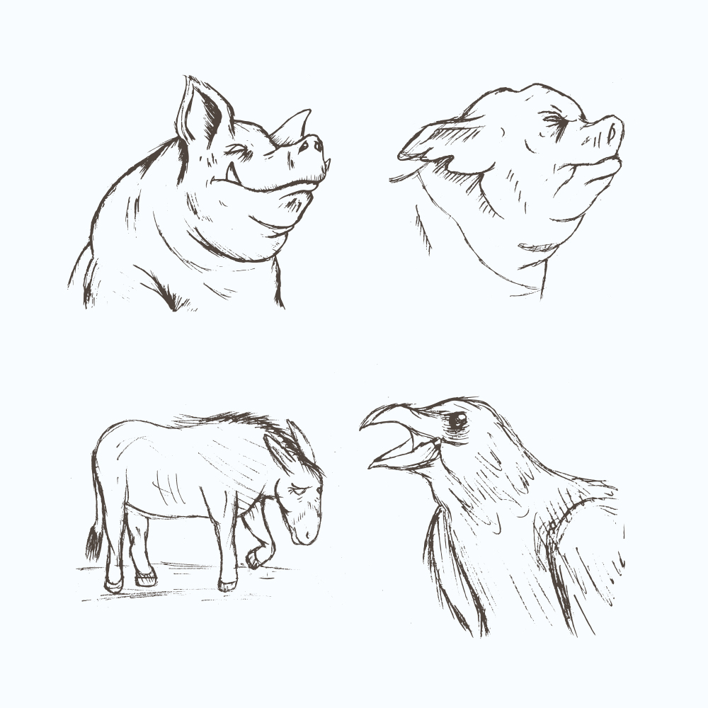 1000x1000 Adam Lockier Animal Farm Title Sequence - Animal Farm Sketch
