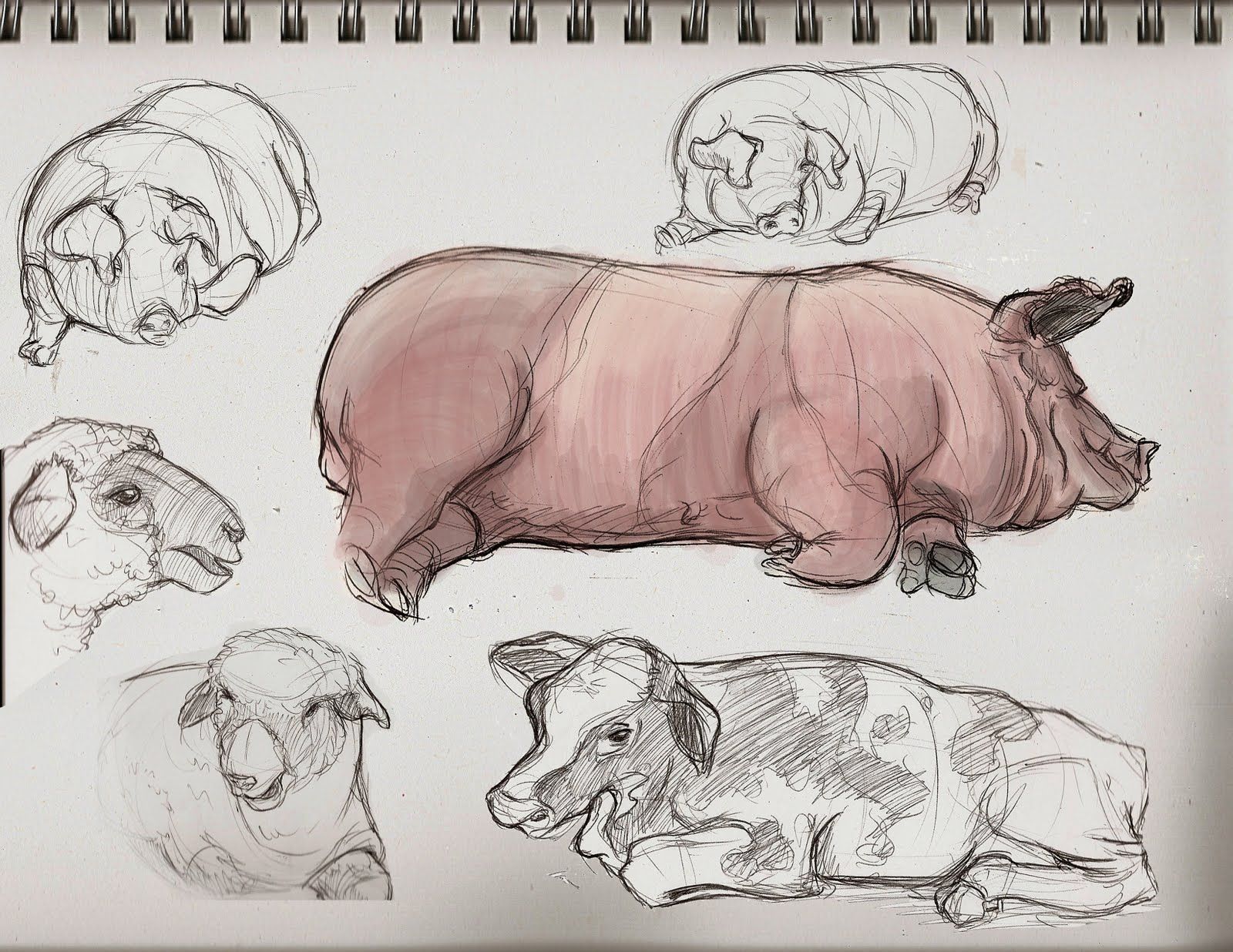 1600x1236 Some Coffee Shop And Animal Drawings. These Animals Are From - Animal Farm Sketch