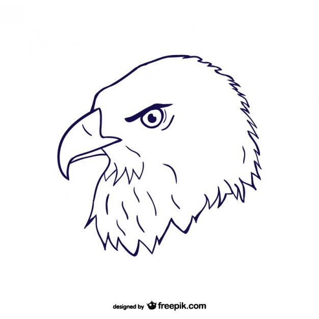 626x626 Eagle Head Sketch Vector Free Download - Animal Head Sketch