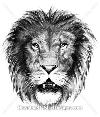 424x496 Lion Animal Head Pencil Sketch - Animal Head Sketch