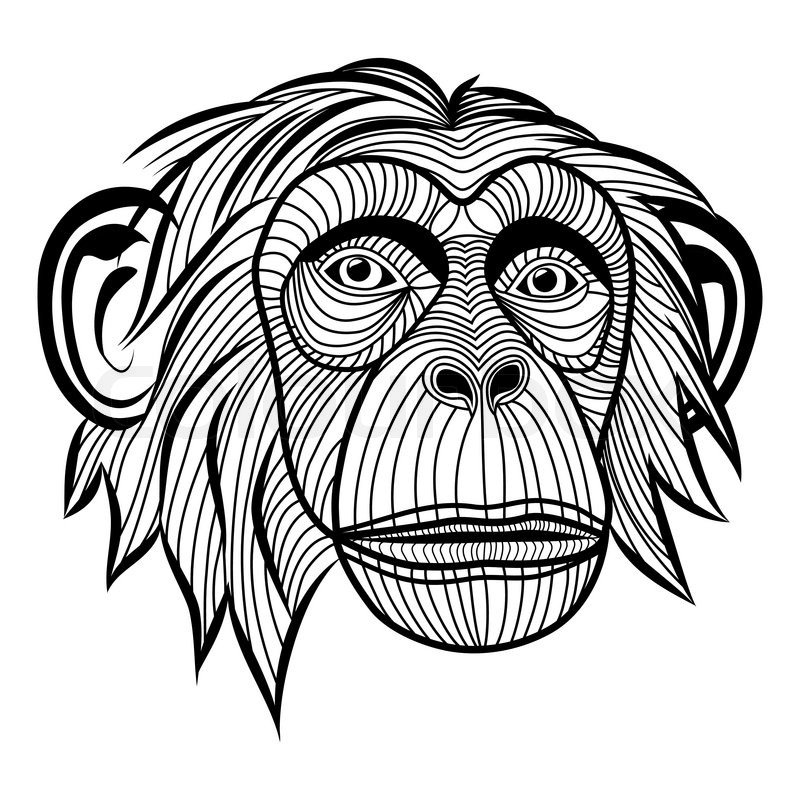 800x800 Monkey Chimpanzee Ape Head Animal, Simian Symbol For Mascot Or - Animal Head Sketch