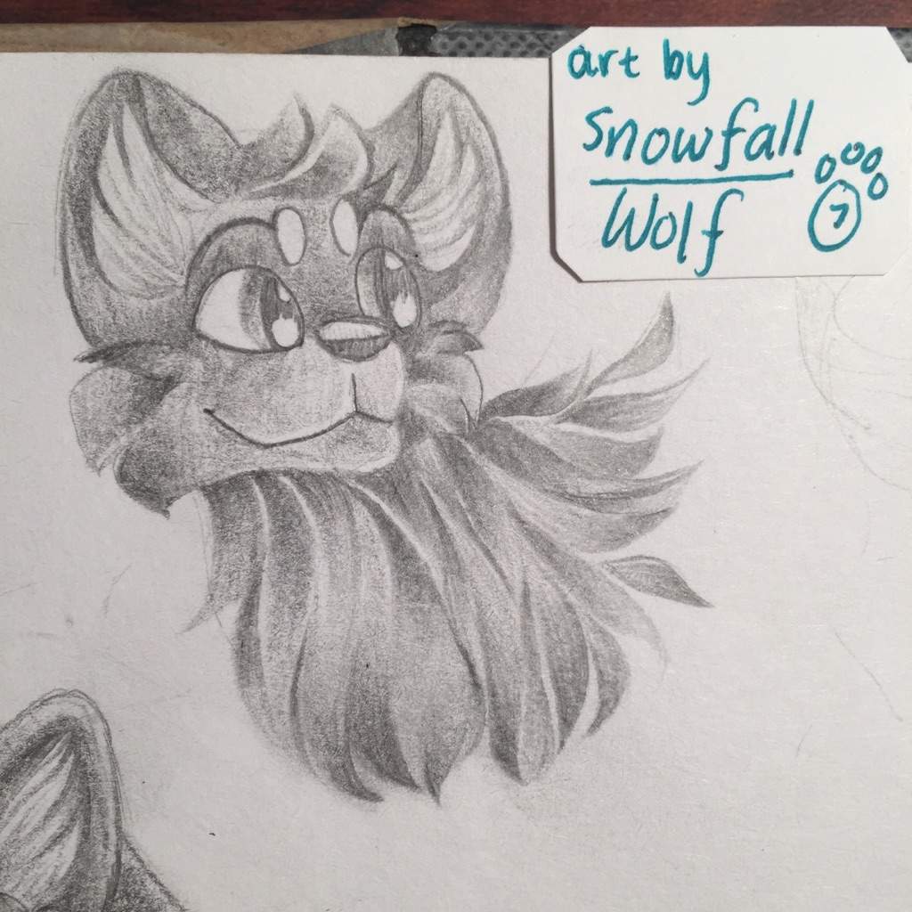 1024x1024 Experimental Sketches Animal Jam Animation Amino - Animal Jam Sketches