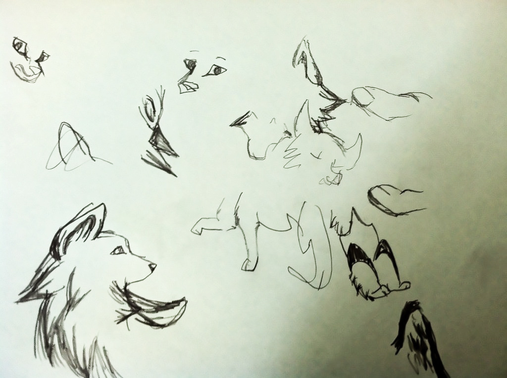 1024x764 The Animal Jam Collision An Animal Jam Blog By Snowflakedemon - Animal Jam Sketches