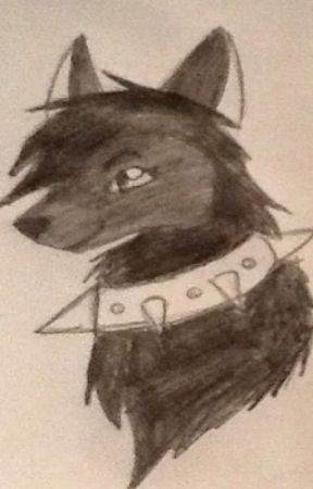 288x450 Book Of Sketches - Animal Jam Sketches