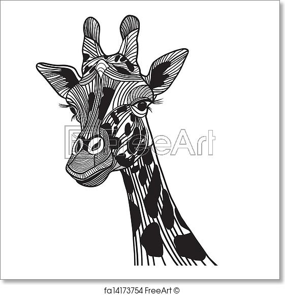 561x581 Free Art Print Of Giraffe Head Vector Animal Illustration For T - Animal Print Sketch