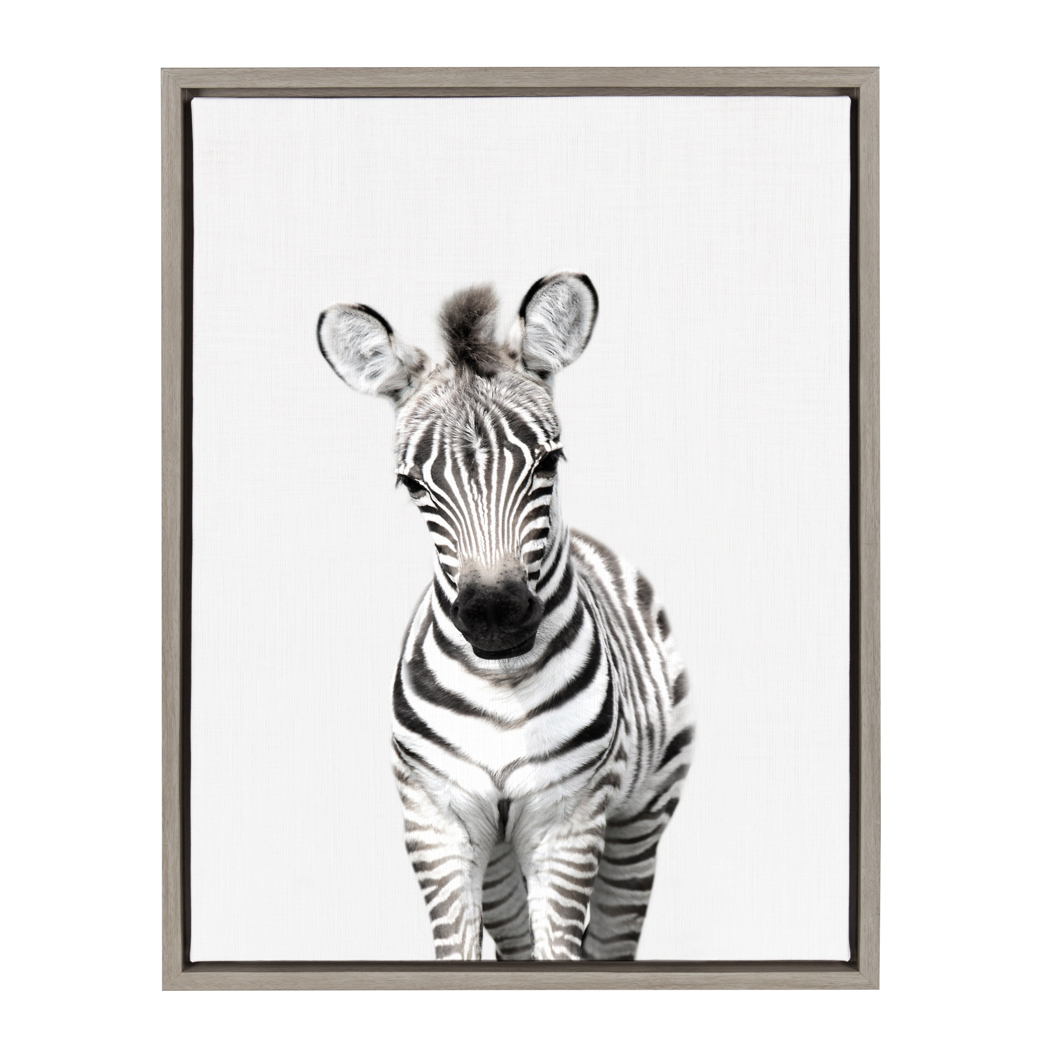 3500x3500 Shop Sylvie Baby Zebra Animal Print Framed Canvas Wall Art By Amy - Animal Print Sketch