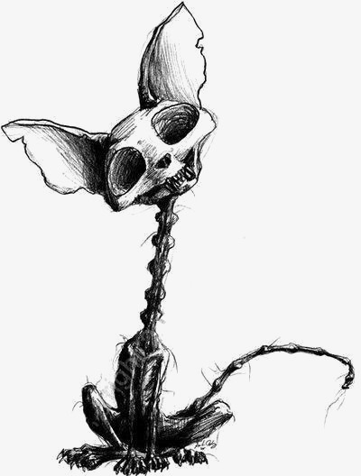 400x528 Animal Skeleton, Animal Clipart, Creative Skeleton, Weasel - Animal Skeleton Sketch