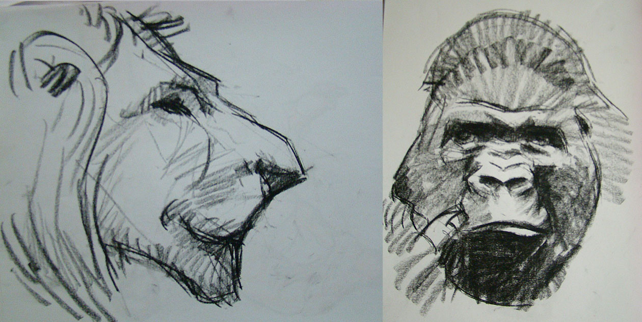 1260x633 Animal Sketches - Animal Sketch Art