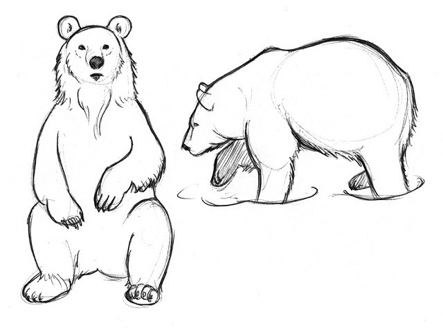 640x474 Animal Sketches Cedarseed - Animal Sketch Drawing