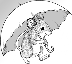 252x224 Cartoon Drawings Of Animals Easier Than You Think - Animal Sketch Drawing