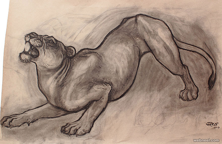 881x574 25 Beautiful Animal Drawings For Your Inspiration - Animal Sketch Drawing