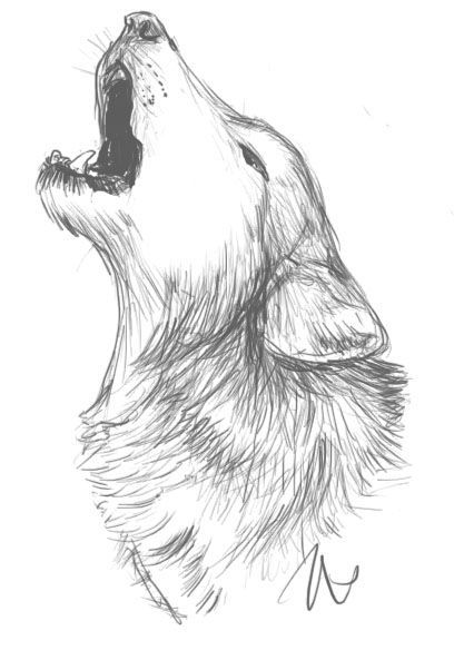 408x593 Elena Boboshko Art Drawings, Drawing Ideas And Sketches - Animal Sketch Ideas