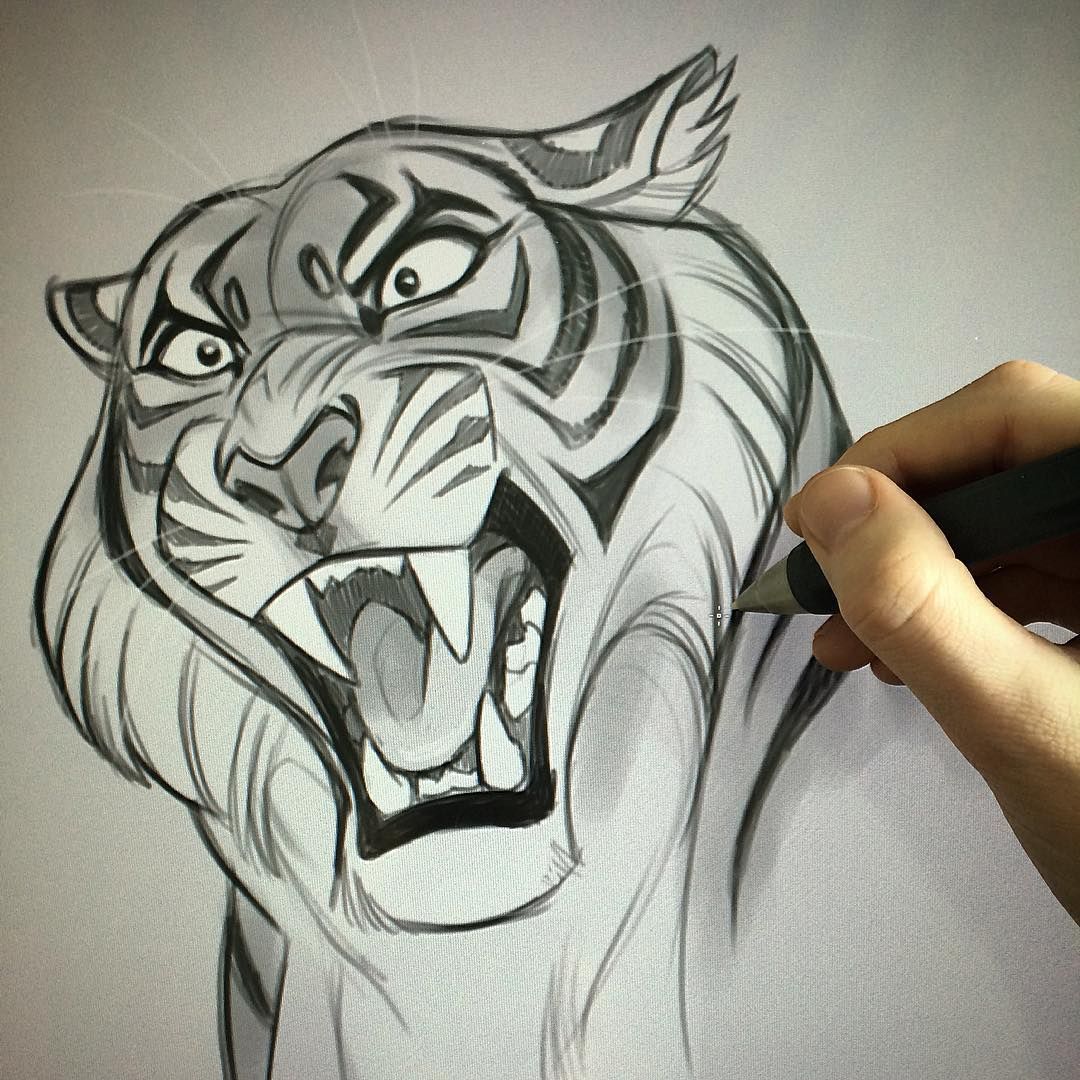 1080x1080 Mreow! Animal Drawing Draw, Art And Artwork - Animal Sketch Ideas