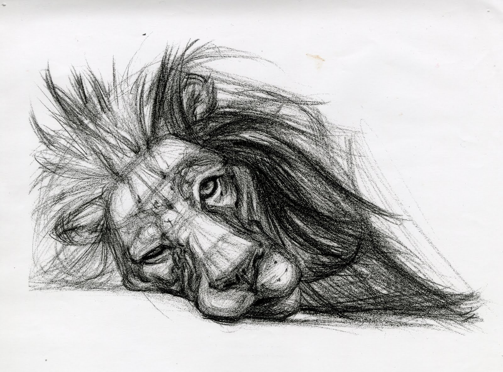 Animal Sketch Ideas at PaintingValley.com | Explore collection of