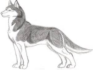 300x226 Animal Sketch - Animal Sketch Images