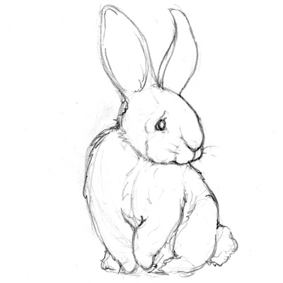 400x400 Farm Animal Sketch Preview Walking In Public - Animal Sketch Picture