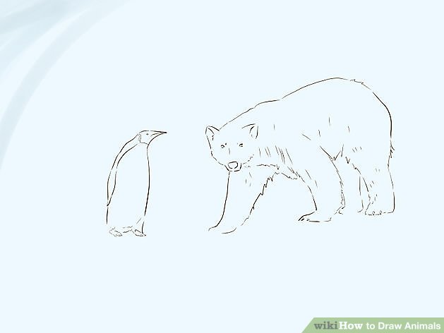 629x472 3 Ways To Draw Animals - Animal Sketch Picture