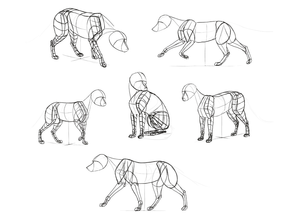 1000x749 How To Draw A Fox Step By Step - Animal Sketch Picture