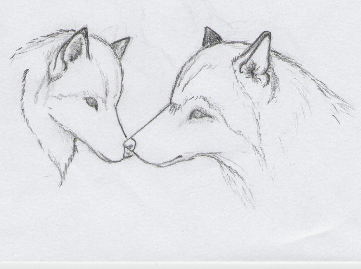 1229x918 Animal Sketches Easy - Animal Sketch Picture