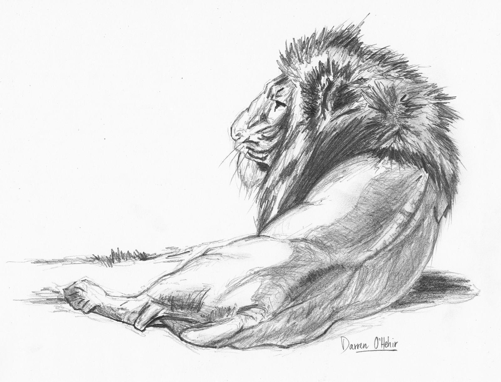 1600x1220 Pencil Art Wallpapers - Animal Sketch Wallpaper