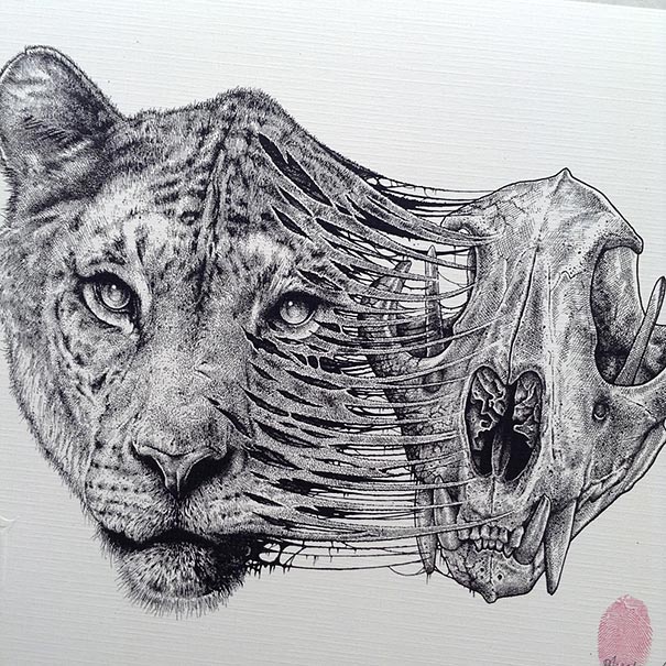 605x605 Animals Leave Their Skeletons Behind In Stunning Dark Drawings By - Animal Sketches