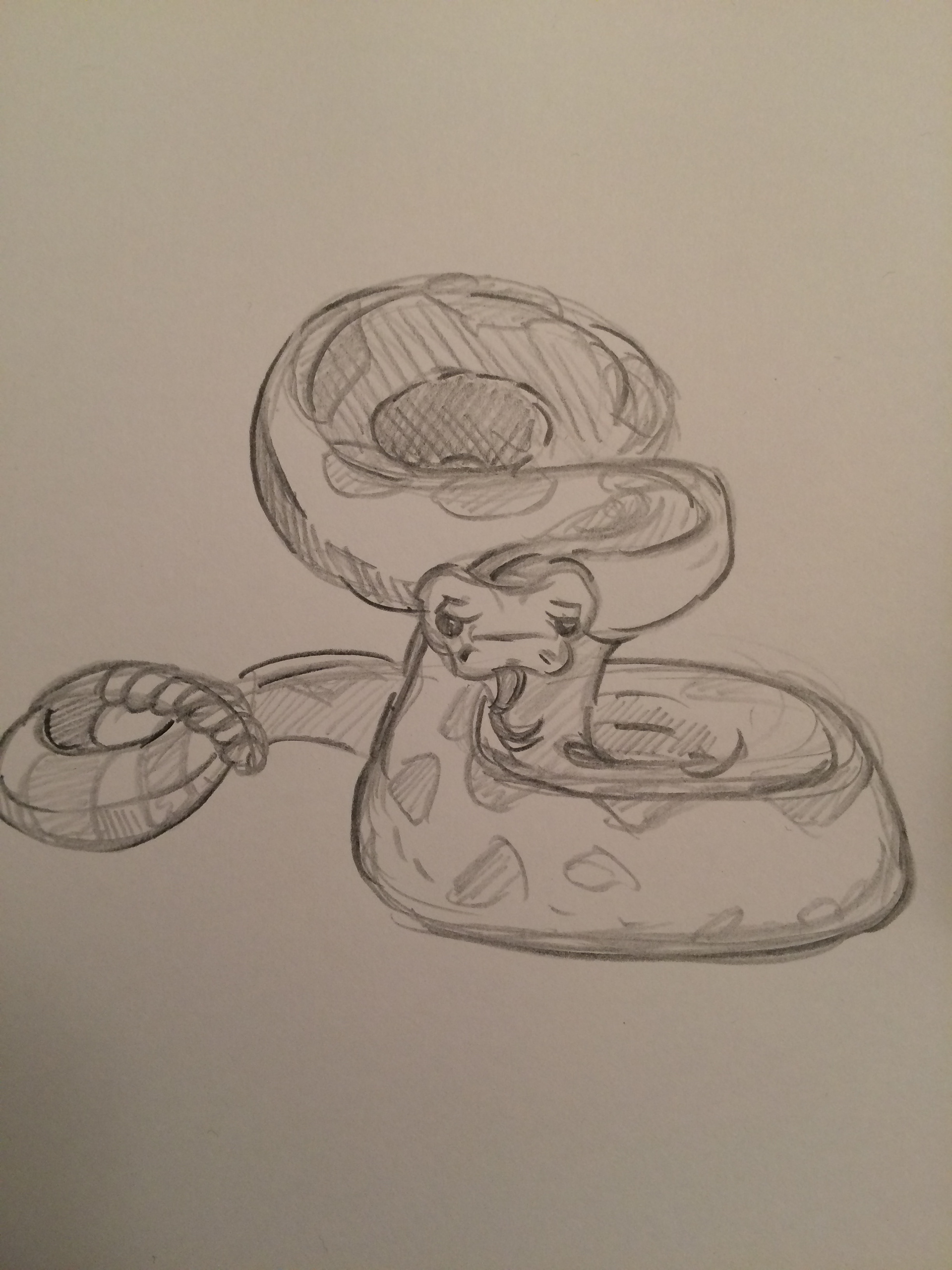 1920x2560 Arcto Design - Animal Sketches