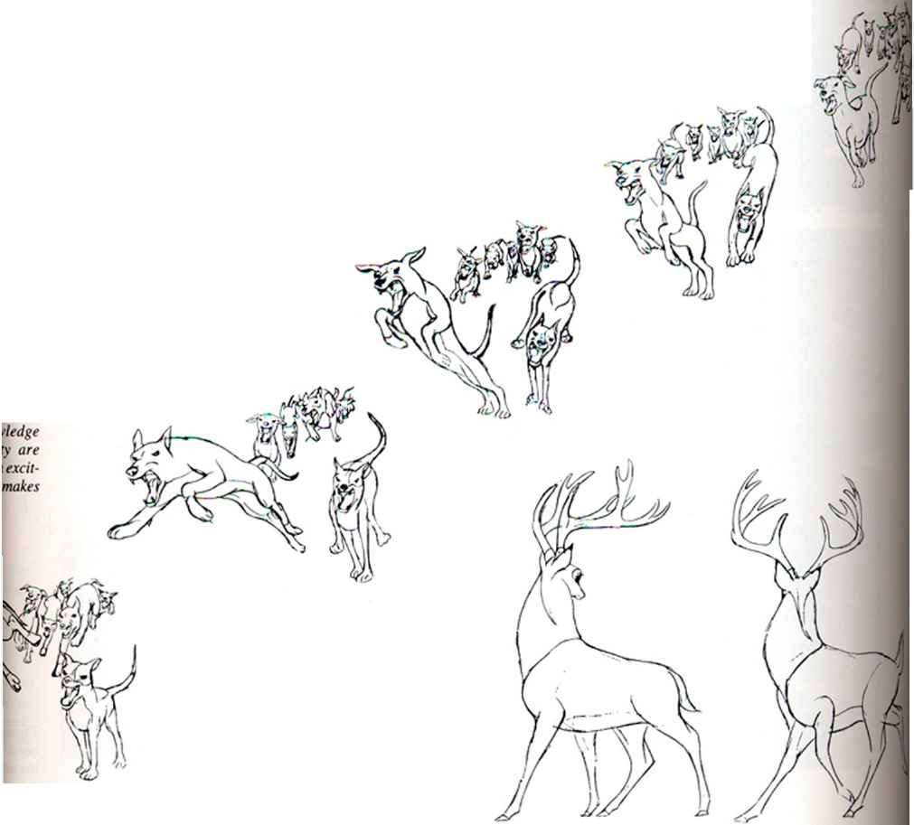 1011x913 Animal Sketches - Animal Sketches