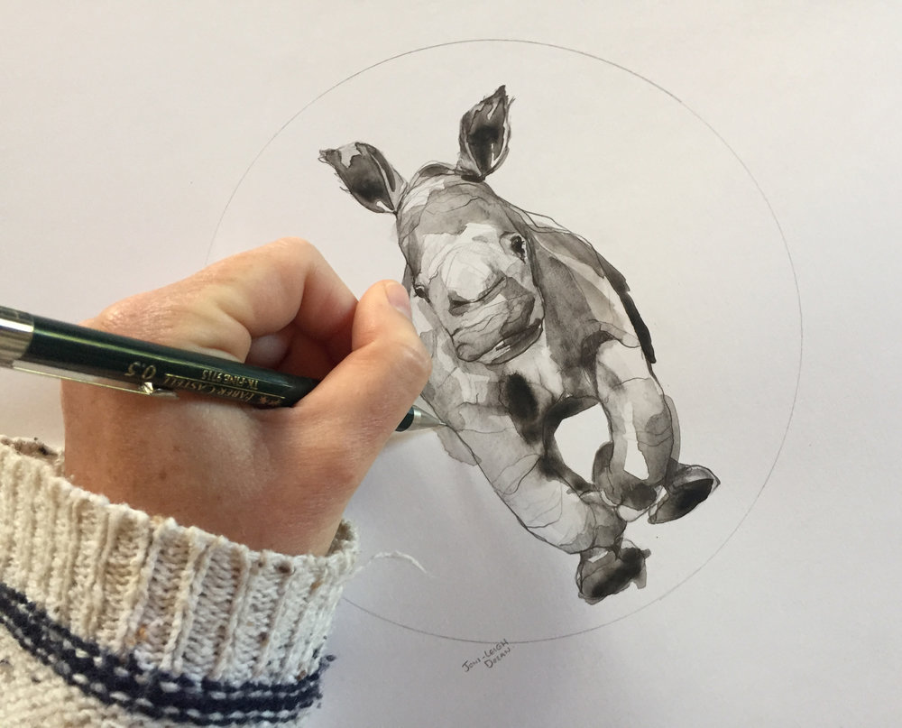 1000x807 Animal Sketches Joni Leigh Doran - Animal Sketches