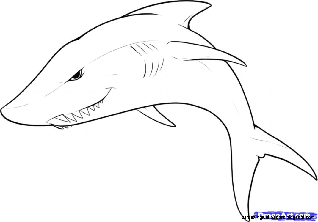 1069x747 Animals Drawings In Pencil Step By Step Simple Animals Drawings In - Animal Sketches For Kids