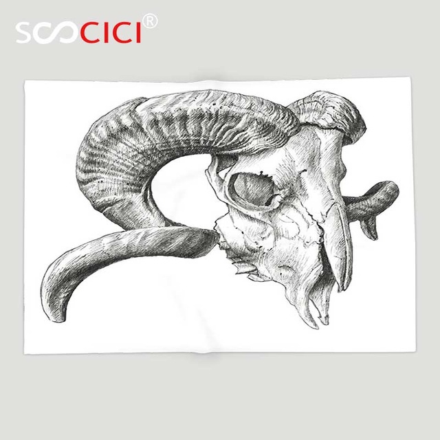 640x640 Custom Soft Fleece Throw Blanket Skulls Decorations Collection - Animal Skull Sketch