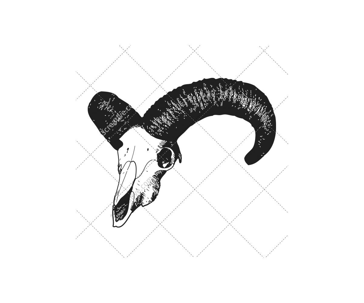 1200x1000 Human And Animal Skulls Vector Pack - Animal Skull Sketch