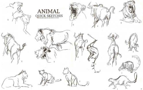 496x312 Drawing For Animation - Animation Sketches