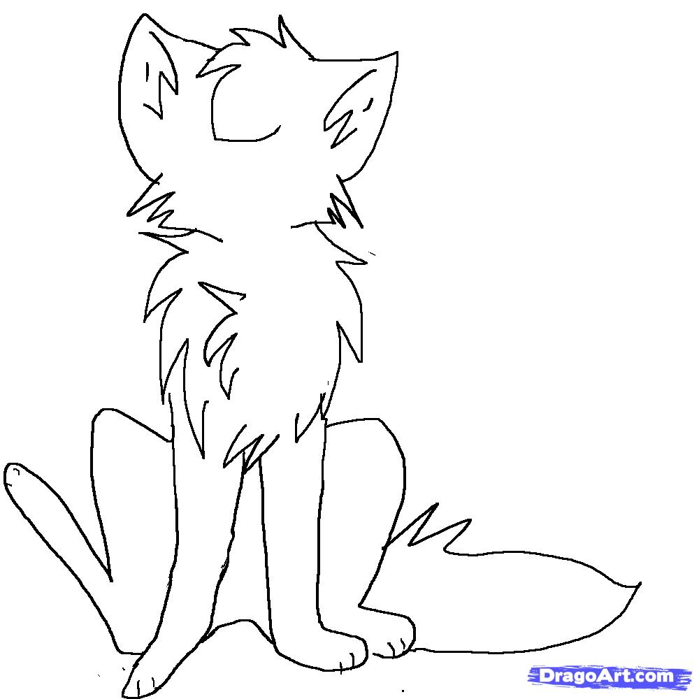 1000x1000 Drawings Of Anime Cats How To Draw An Anime Cat (Sitting), Step By - Anime Cat Sketch