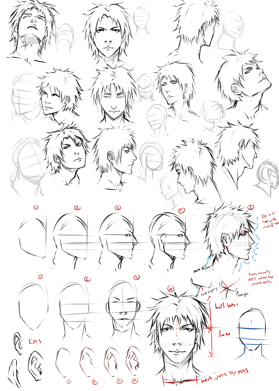 Featured image of post How To Draw Anime Face Proportions : Anime drawing tutorials for beginners step by step.