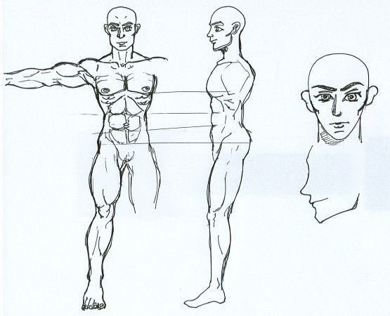 555x450 Buff Anime Male Ref Sketch By Yoda Work In Progress Animemanga - Anime Male Sketch
