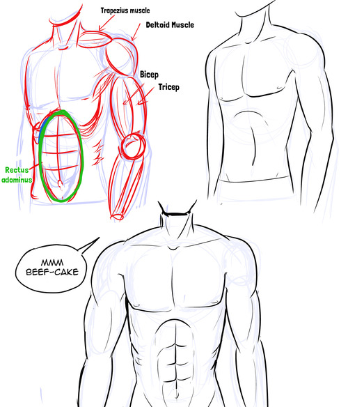 500x584 How To Draw Manga How To Draw Manga Male Bodies - Anime Male Sketch