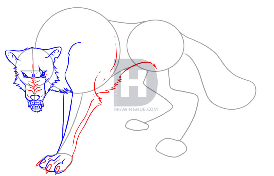 How To Draw An Anime Wolf, Step By Step, Drawing Guide, By - Anime Wolf S.....