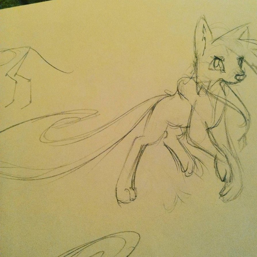 894x894 Anime Wolf Sketch By 67katana - Anime Wolf Sketch