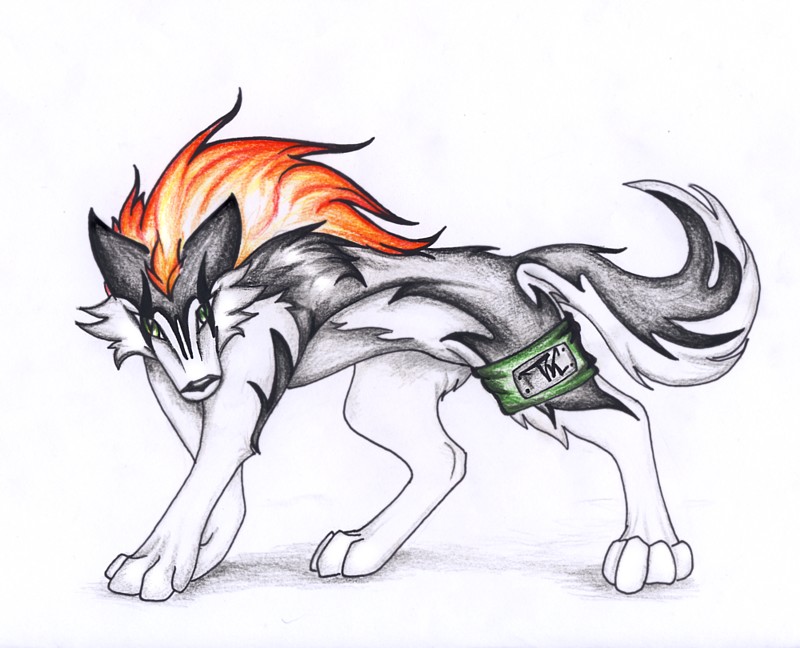 800x648 Anime Wolf By Ti Killa - Anime Wolf Sketch