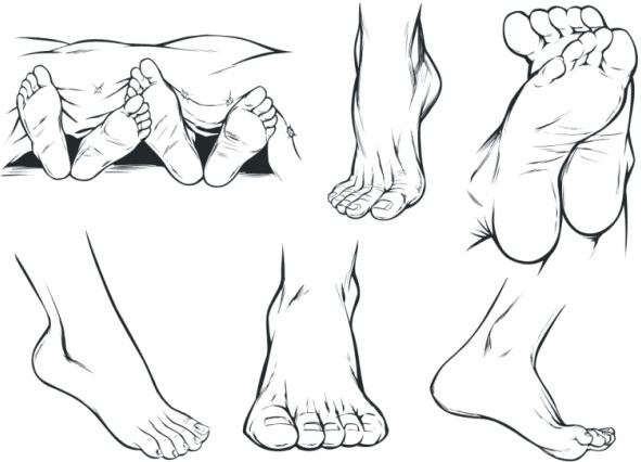 591x426 Vector Sketch Foot Free Vector In Coreldraw Cdr ( .cdr ) Vector - Ankle Sketch