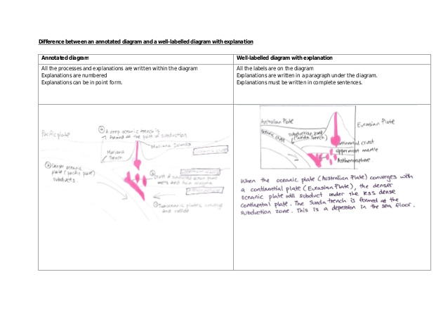 638x451 Difference Between Annotated And Labelled - Annotated Sketch